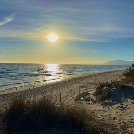 Apartamento Marbella Alicate Beach Εξωτερικό φωτογραφία